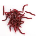 thumbnail image 2 of Soft Bait, Fishing Bait, Artificial Baits, Reusable For Fishing, 2 of 8