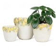 thumbnail image 2 of Petit Cache-Pot Bord Citron, 2 of 2