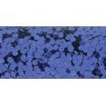 thumbnail image 2 of Sulyn Glitter .6oz Tube Royal, 2 of 2