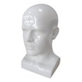 thumbnail image 2 of PVC Mannequin Male Head Model Height 34cm Styling Accessory for Hair Glasses Head Circumference 56cm Durable Lightweight White, 2 of 8