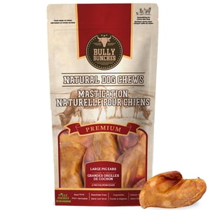 Grandes oreilles entières de porc
