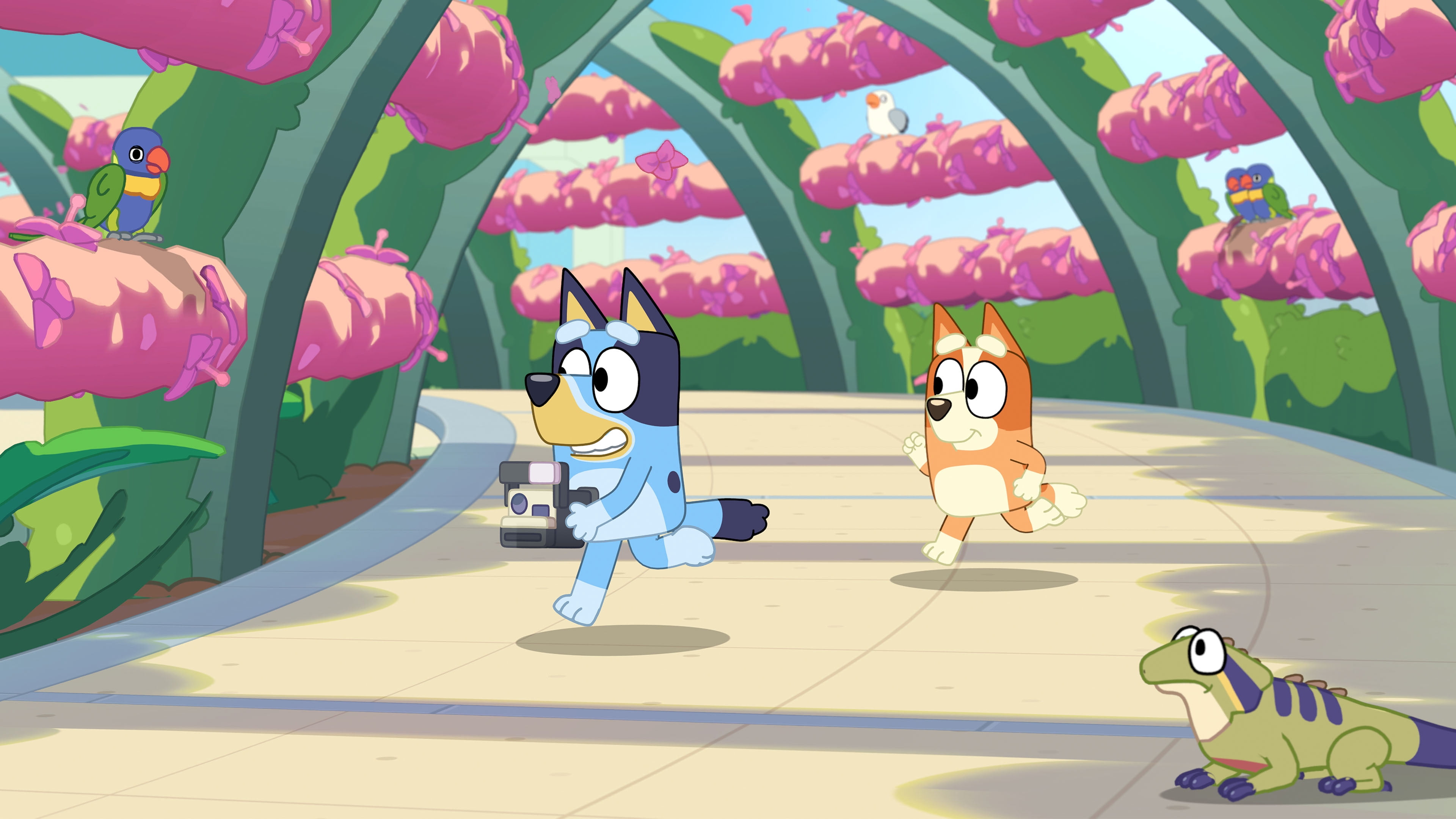 Jeu vidéo Bluey's Happy Snaps: Activity Book Edition pour (Nintendo Switch)