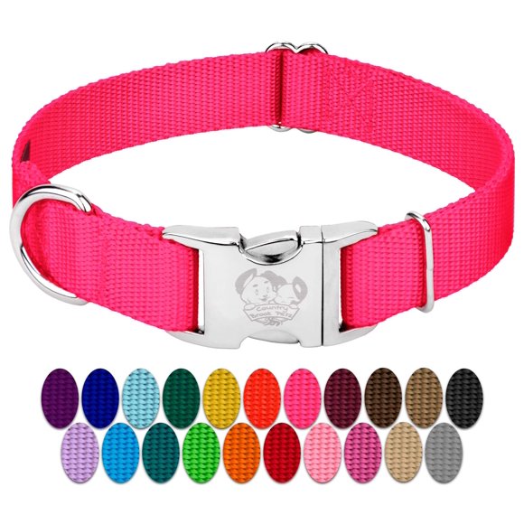 Country Brook Petz Premium Nylon Dog Collar with Metal Buckle for Small Medium Large Breeds - Vibrant 30+ Color Selection (Extra Large 1 Inch Hot Pink)