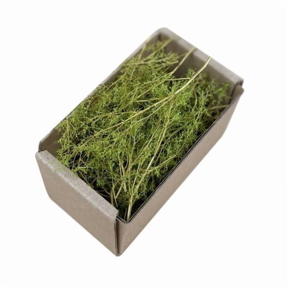 jiaping 3x Simulation Miniature Fairy , Terrain for DIY Railway Trains, Artificial Grass 2 Pcs
