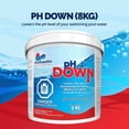thumbnail image 2 of Duvet pH (8 kg) par Pool Supplies Canada, 2 of 3