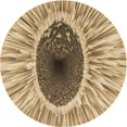 thumbnail image 1 of Ahgly Company Tapis d'Intérieur Ronds Transitionnels Jaunes Lavables à la Machine, 5 Pieds Rond, 1 of 7