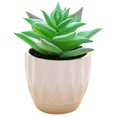 thumbnail image 1 of Coofit Mini Potted Succulent Lifelike - Artificial Plant Faux Succulent in Pot for Home, 1 of 4