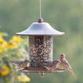 thumbnail image 4 of Perky-Pet 2 lb Small Panorama Wild Bird Feeder, 4 of 9
