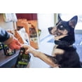 thumbnail image 4 of Hemp Sense Pet Pro Supplement, 4 of 11