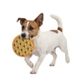 thumbnail image 3 of One Paw, 2-Pack Flow & Fetch Disc Toys for Dogs, Outdoor Activities, Yellow and Pink, Flying Disk Frisbee, 3 of 6