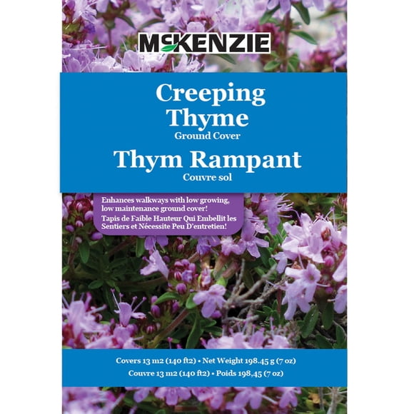 Creeping Thyme Ground Cover