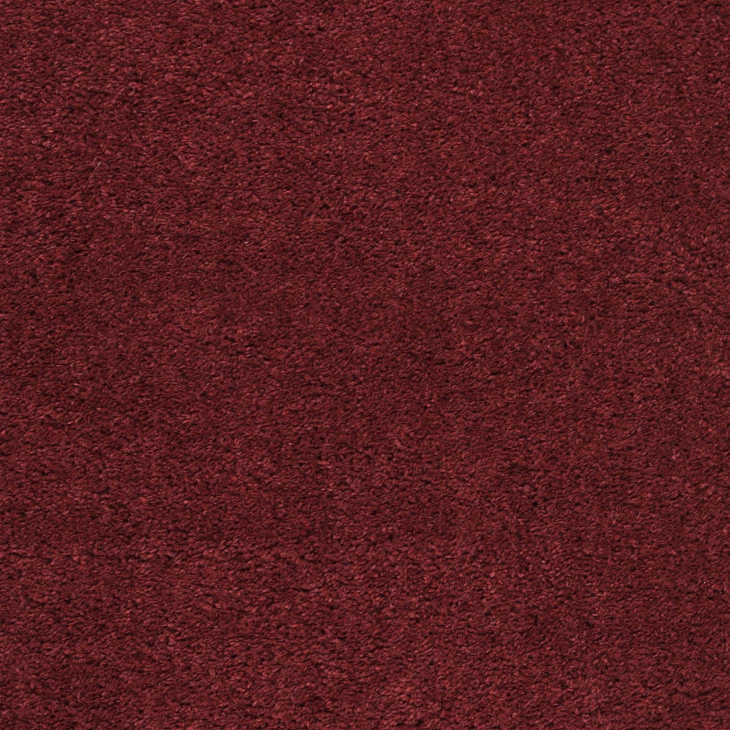 SAFAVIEH August Carlene Tapis Peluche Shag