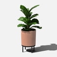 thumbnail image 4 of Veradek Demi Series Raised 16" Plastic-Stone Planter - (Terracotta/Black, 1 Pack), 4 of 10