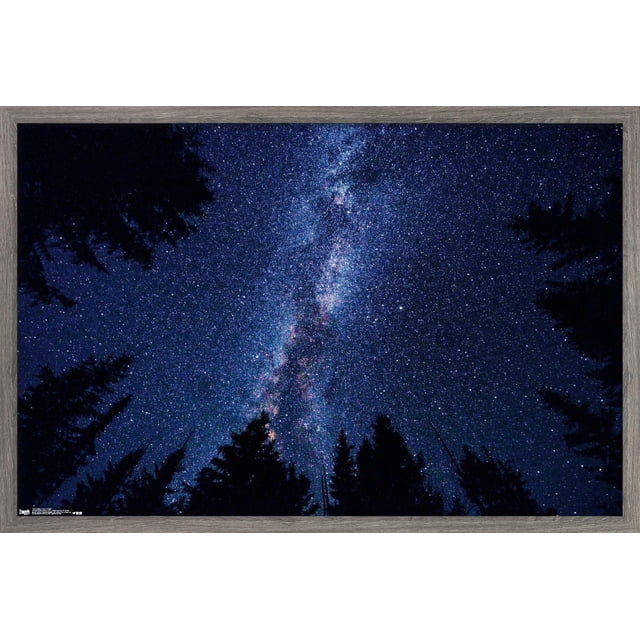 Affiche Murale Voie Lactée la Nuit, 14,725 Pouces x 22,375 Pouces Encadrée, Montrant une Vue Verticale Centrée de la Galaxie de la Voie Lactée à Travers un Ciel Nocturne Bleu Foncé Étoilé avec des silhouettes de Pin Noir sur les Bords, Imprimée sur un Matériau Léger avec une Finition Satinée de Qualité Supérieure, Convient comme art Mural pour la Déco de la Maison et collections d'Affiches.