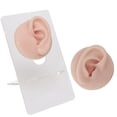 thumbnail image 3 of Modèle d'Oreille en Silicone à Haute Simulation pour la Pratique du Perçage, Accessoires d'Exposition de Boucles d'Oreilles, Réutilisable, 3 of 7