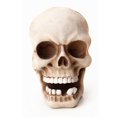 thumbnail image 1 of Halloween Skeleton Key Holder Realistic Human Skull Decor Realistic Halloween Atmosphere Mask For Fireplace Home Halloween Party Decor, 1 of 7