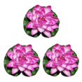 thumbnail image 4 of QualitChoice Artificial Lotus Replacement Simulation Outdoor Garden Park Pond Pool Photography Fake Water Flower Decor Dark Pink 3PCS, 4 of 6