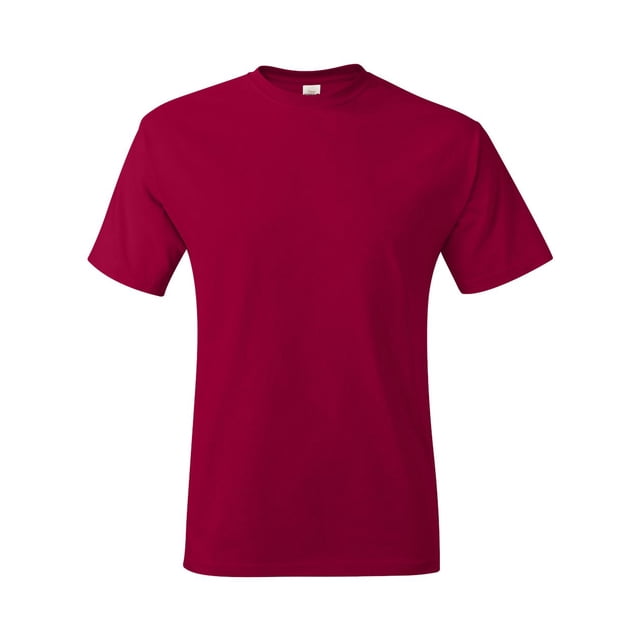 Hanes Men's Authentic-T T-Shirt