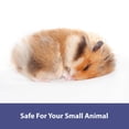 thumbnail image 2 of Kaytee Forti-Diet Clean Comfort Natural Bedding, 2 of 7