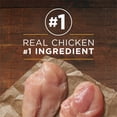 thumbnail image 4 of Purina ONE Classic Ground Chicken & Brown Rice Entrée, Wet Dog Food 368 g, 4 of 10