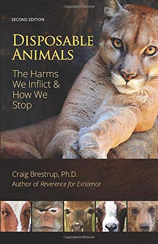 Animaux Jetables: les Dommages Que Nous Infligeons et Comment Nous Nous Arrêtons