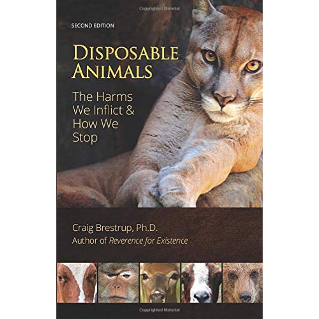 Disposable Animals: The Harms We Inflict and How We Stop
