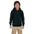 thumbnail image 1 of Hanes Big Boys Ribbed Waistband EcoSmart Pullover Hoodie, 1 of 1