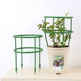 thumbnail image 2 of Climbing Plant Support Garden Trellis Flower Support Pole Tomato Cage Vegetable Rack Bonsai Tool Plant Climbing Frame White Painted Steel Core, 2 of 9
