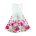 thumbnail image 2 of Robe Fille Imprimé Fleur Rose Broderie Papillon Vert 10 Ans, 2 of 4