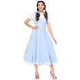 thumbnail image 1 of Deluxe Kansas Girl Plus Size Costume, 1 of 2