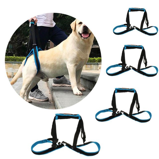ziyahi Dog Hind Leg Auxiliary Belt Lift Harness Mobility Aid Support Harness L