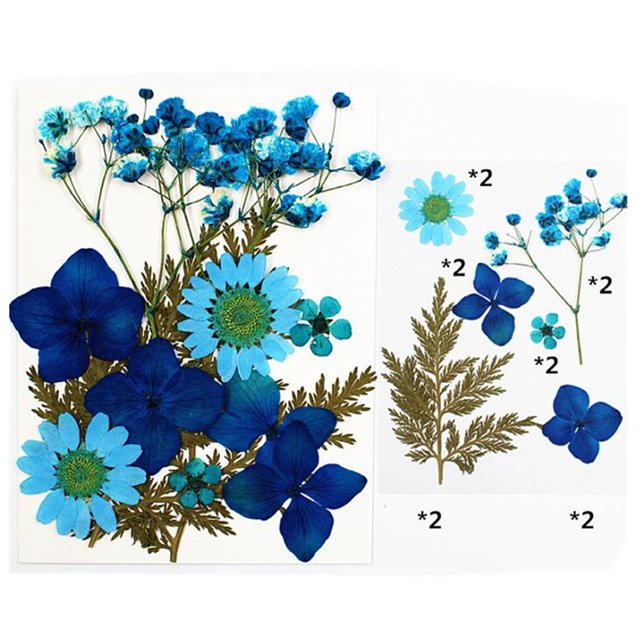Natural Real Dried Flower Plants For Candle Epoxy Resin Jewelry Making Craft DIY