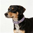 thumbnail image 3 of ZZHZGZ Canada Sale Collars for Small Medium Large Cats Adjustable Soft Nylon Reflective Collar Comfortable Breathable Lightweight Outdoor Training Walking, 3 of 4