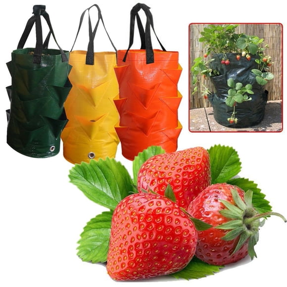SSZMDLB 3Pcs 3 Gallon Strawberry Grow Bag, Multi-Mouth Container Planter Pouch Fabric Pot for Gardening Flowers Vegetables, Foldable Washable Reusable Plants Growing Bags with Handles, Breathable