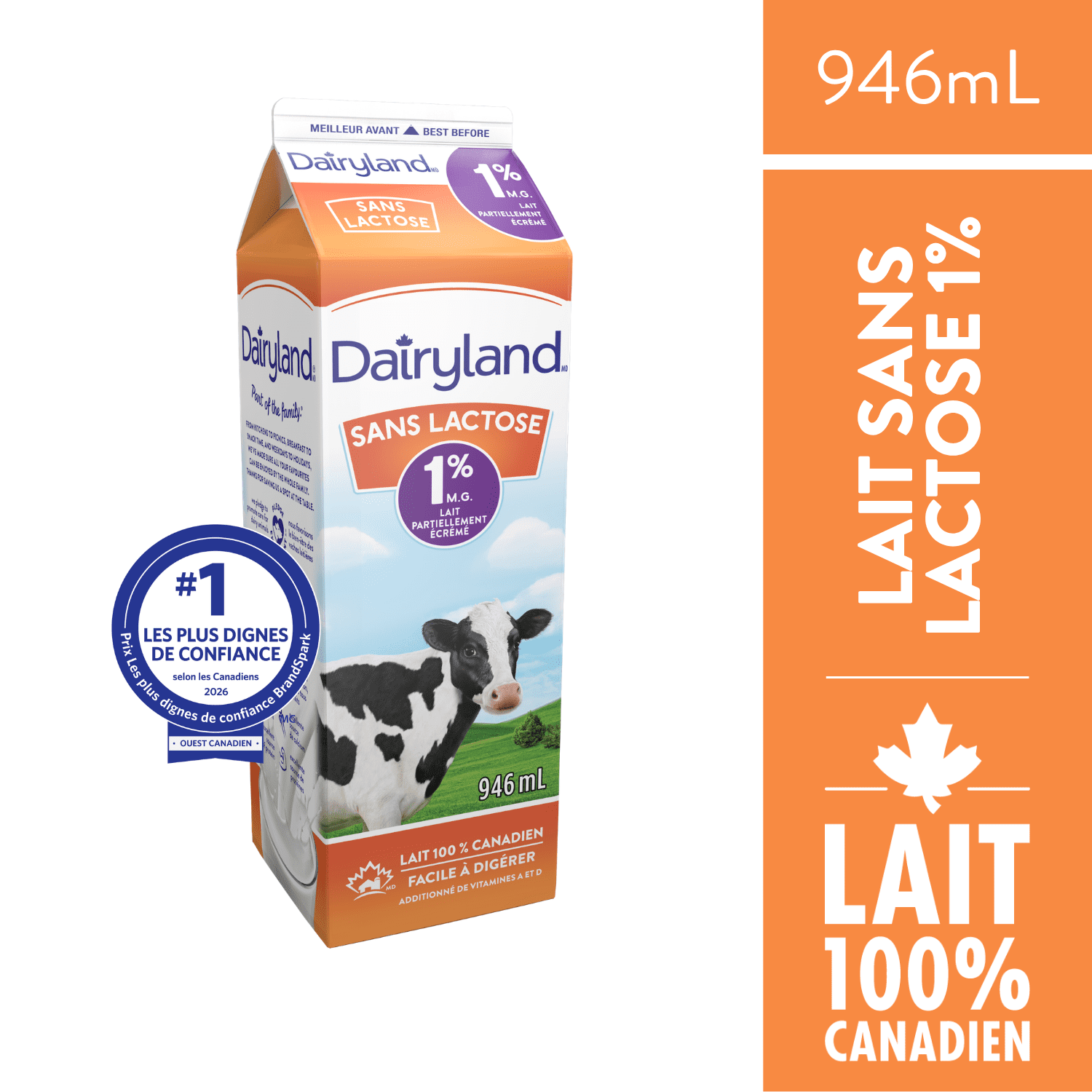Dairyland Sans Lactose 1 % Lait Partiellement Écrémé