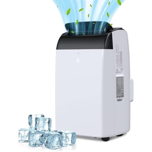 Eastvita 12000 BTU portatif Air Conditionneur avec caractéristiques clés (blanc)