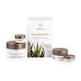 thumbnail image 1 of InfiniteAloe Crème - Ensemble de 4 Pots [Parfum - Sans Parfum], 1 of 1
