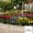 🔥 Black, variant on Sentmoon Metal Fence Panels Fence Panels 22.83x13.38in Courtyard Fence European Style Fence Outdoor Garden Fence Small Fence Lawns Decoration Fence