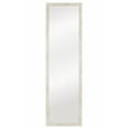 thumbnail image 1 of 13.5×49.5 Inch Champagne Over The Door Mirror, 1 of 1