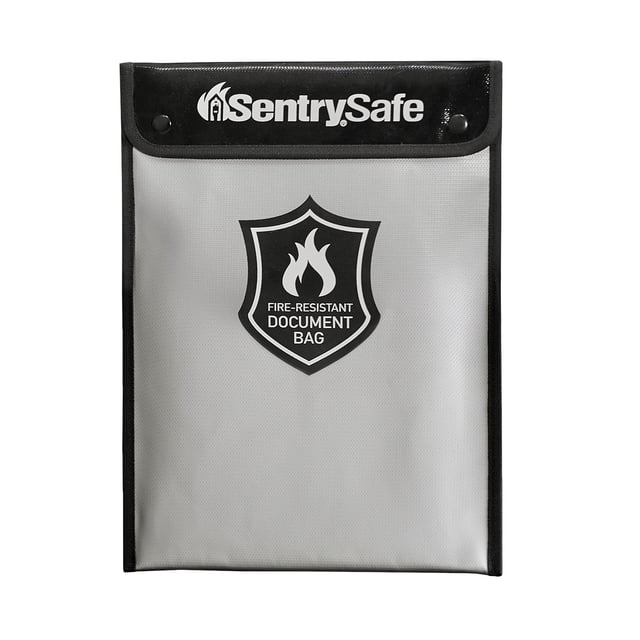 SentrySafe Sac Portable Résistant au Feu et à l'Eau avec Fermeture Éclair pour le Rangement d'Argent Ou de Documents, FBWLZ0SSC