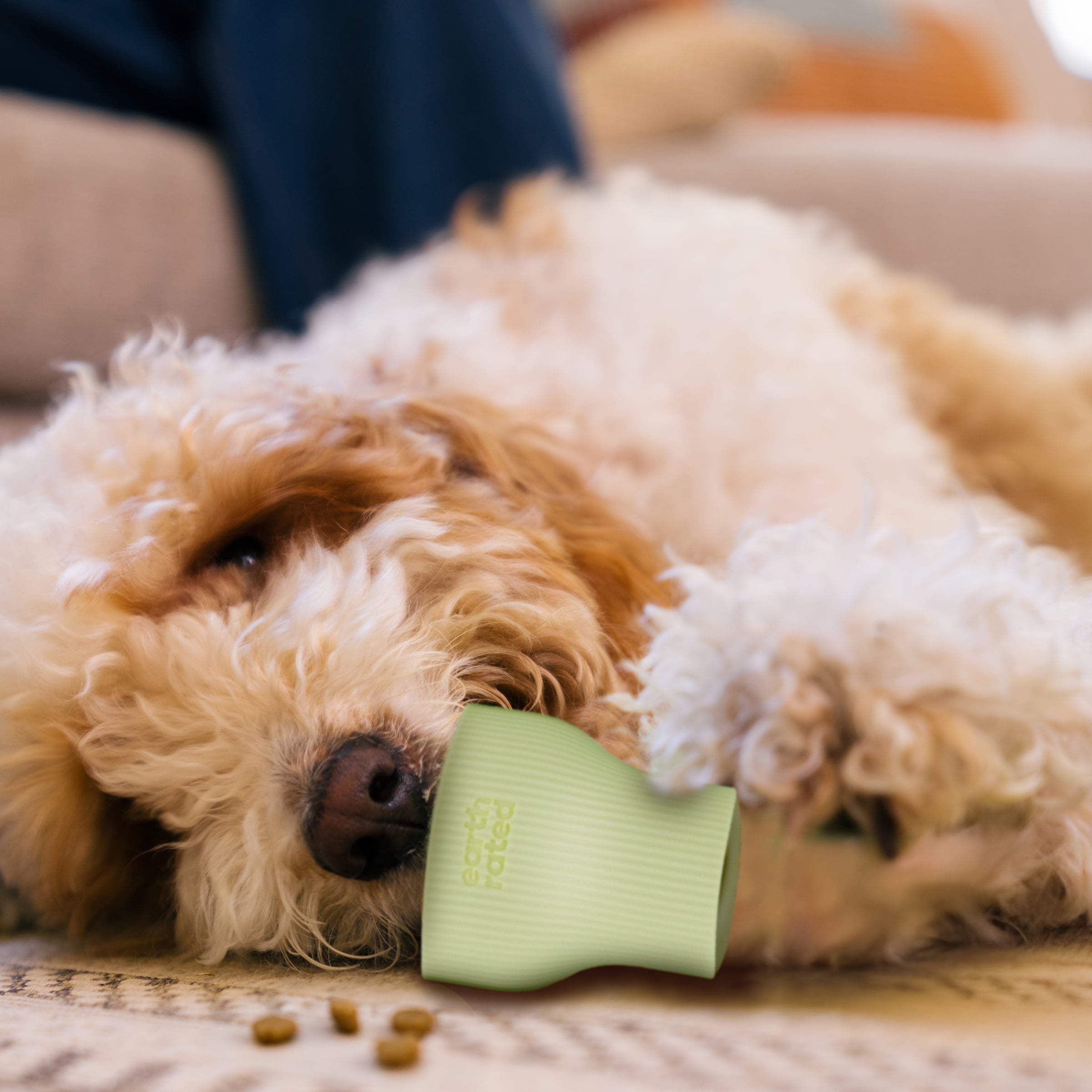 Jouet pour chien Dégusteur Earth Rated, distributeur de gâteries à deux cavités, jouet d’enrichissement pour chiens