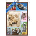 thumbnail image 2 of Keith Kimberlin - Collage de chiots et de chatons, 2 of 4