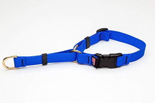 Deluxe Martingale Dog Collar Adjustable Heavy Soft Brass Hardware (Medium 15 to 20 Inches, Blue)