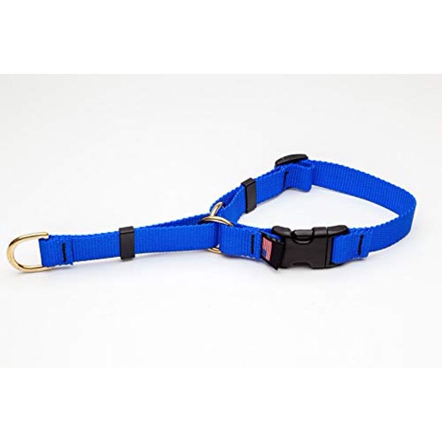 MPP Deluxe Martingale Dog Collar Adjustable Heavy Soft Brass Hardware (Small 14 to 18 Inches, Blue)