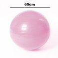 thumbnail image 2 of Exercise Ball Extra Thick Professional Grade Balance & Stability Ball- Includes Hand Pump, 2 of 5
