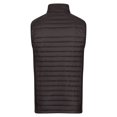 thumbnail image 2 of Regatta Professional Gilet Hybride Matelassé pour Hommes, 2 of 6