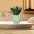 thumbnail image 4 of RuiJiao Clearance Round Planter Pot Vintage-Style White Flower Pots Indoor Textured Cylindrical Succulent Containers, 4 of 6