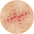 thumbnail image 1 of Ahgly Company Tapis Rond Lavable en Machine Intérieur Transitionnel Orange Pastel, 5 Pieds Rond, 1 of 7