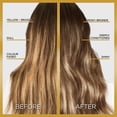 thumbnail image 3 of L'Oréal Paris Le Color Gloss, One Step Hair Gloss, 3 of 7