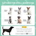 thumbnail image 4 of PawHut Lit pour Animal Surélevé et Rafraîchissant avec Auvent pour Petits Chiens, Gris, 4 of 10